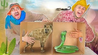 What's in the Box FORT Challenge ? (LIVE ANIMALS) What's in the Box FORT Challenge ? (LIVE ANIMALS)