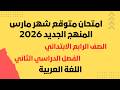 مراجعة شهر مارس عربي رابعة ابتدائي الترم الثاني 2026 امتحان شهر مارس عربي الصف الرابع الإبتدائى