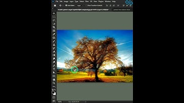 Transform Your Photos in Seconds: Simple Sky Replacement in Photoshop #Shorts