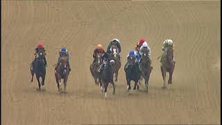 LAUREL PARK 3 30 19 RACE 6