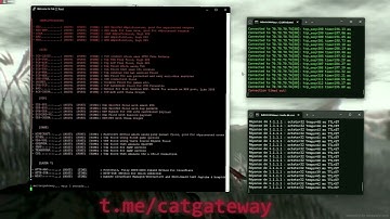 CAT C2 L4 SHOWCASE | BEST C2/BOTNET/API 2025