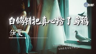 任夏 - 白鸽错把真心给了乌鸦「乌鸦终究还是辜负了她」【🎧AI高质音乐｜拼音动态歌词】#coolsong酷歌