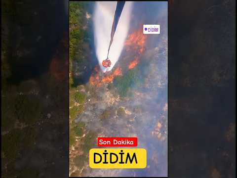 🎯Son Dakika Aydın