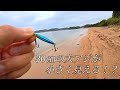 釣れた30㎝の大アジが小さく見えるんですけど・・・