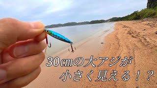 釣れた30㎝の大アジが小さく見えるんですけど・・・