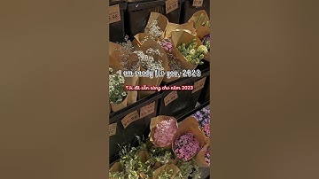 Tuyển tập câu tiếng Anh chúc mừng năm mới 2023| Ms Hoa TOEIC