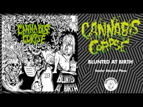 Reefer Stashed Place Video