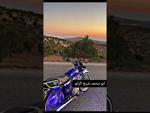 عشوارب طز في العيتاني