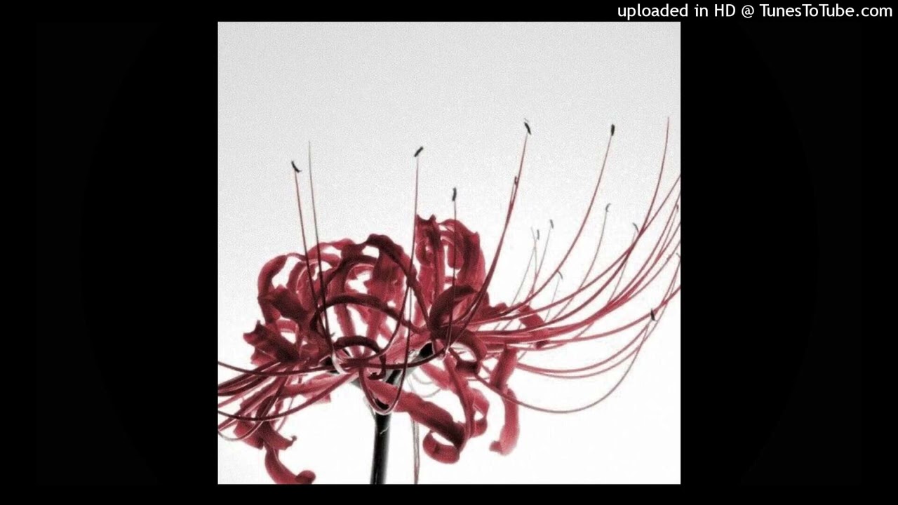 *free* sstep team x maajins x ambient type beat “renaissance”