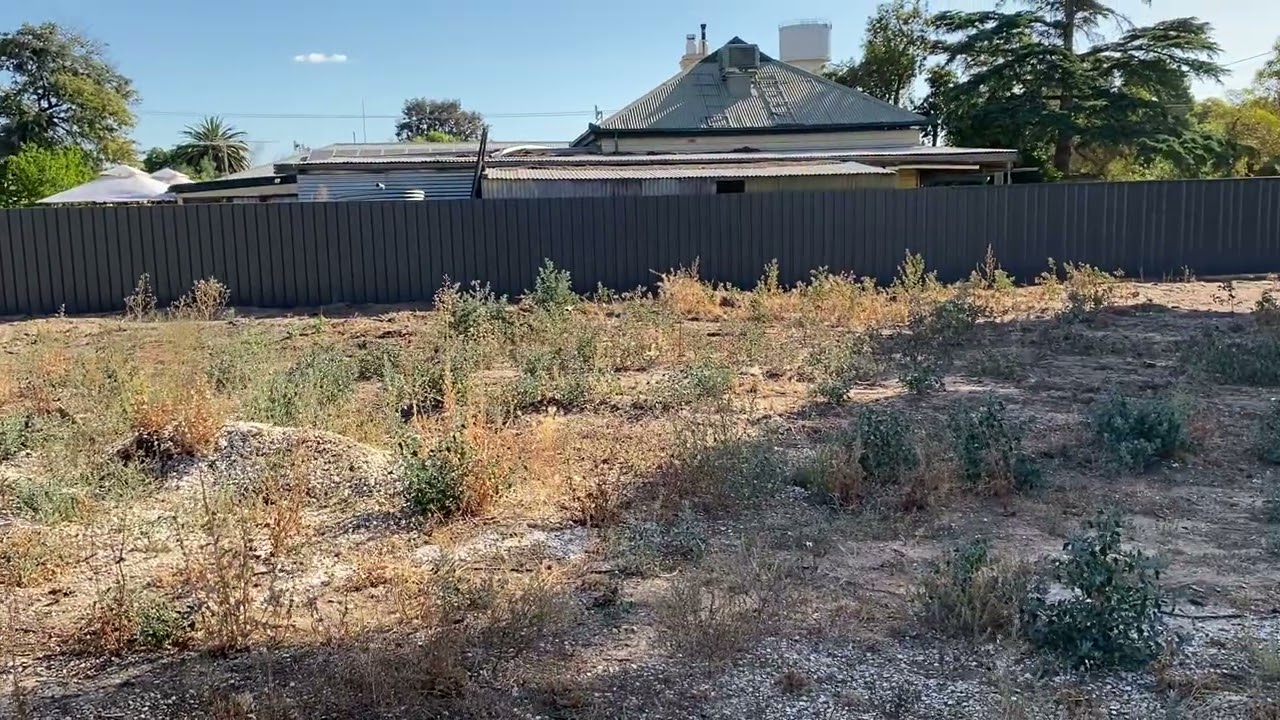 The new fence next door is finally going up. January 16th, 2026.