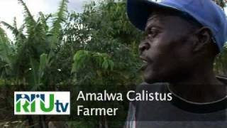 FIPS MAIN MOVIE .wmv