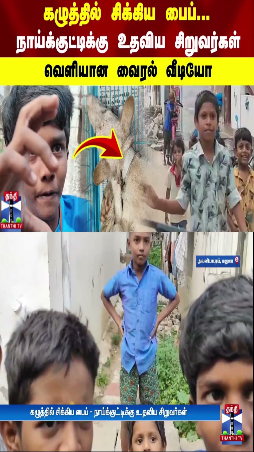 கழுத்தில் சிக்கிய பைப்.. நாய்க்குட்டிக்கு உதவிய சிறுவர்கள் - வெளியான வைரல் வீடியோ