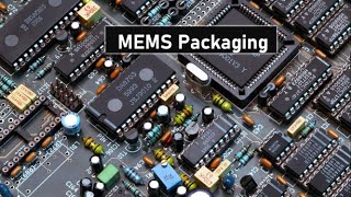Celebrity Presentation Mems Packaging Net Worth
