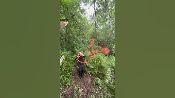 How indi did it . #knots #rope #swing #skills #tree #movie