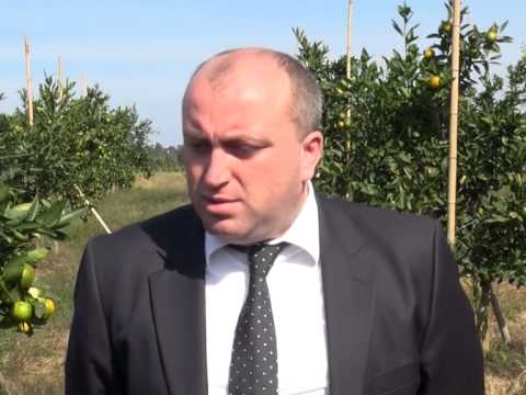 დაძანძურება - არჩილ ხაბაძე მურმან დუმბაძის შესახებ | TV 25