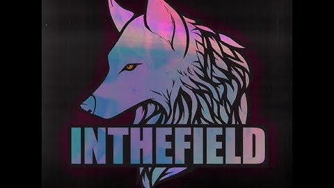 peakUT #1 (3000 Elo FACEIT CS:GO Highlights)