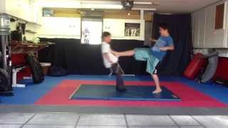 Alon's Yellow Belt Test