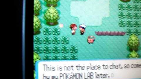 shiny treecko fully legit!!!!!!!!!!(278 soft resets)