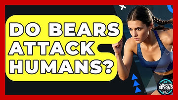 Do Bears Attack Humans? - Running Beyond Limits