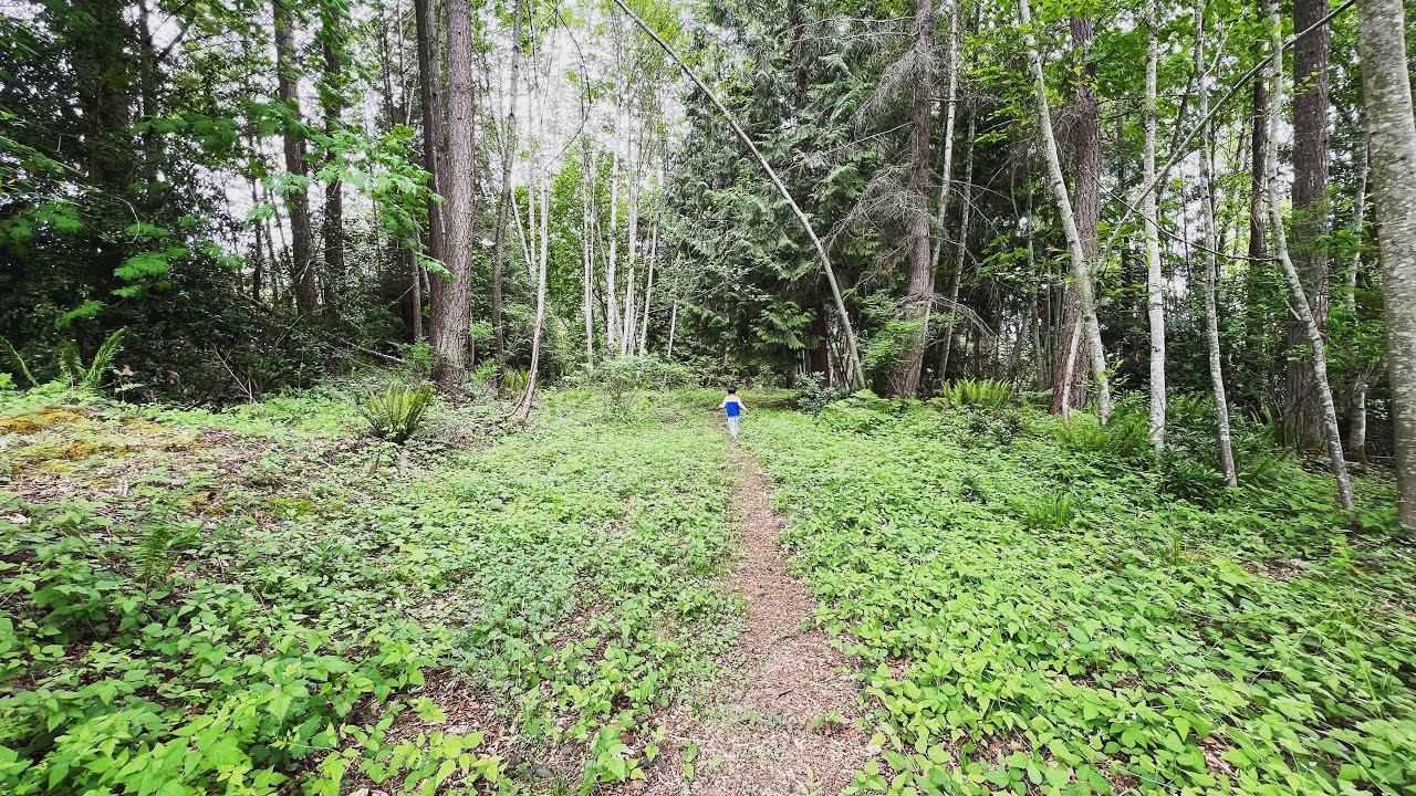 Planting Garlic in December 🤔