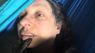 Longer Chimpanzee Grooming on the Hammock Indoors