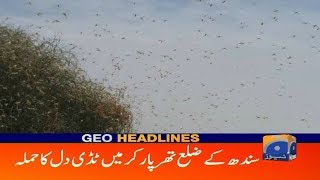 Geo Bulletin 11 AM | Sindh Ke Zilah Tharparkar Main Tidi Dal Ka Hamla  | 27th July 2019