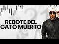 El Rebote Del Gato Muerto // Sesiones De Tablero Con Oliver Velez