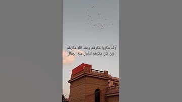 سورة إبراهيم ❤️‍🩹 اية ٤٢ ل ٥٢ #قران_كريم  #المصحف  #اكسبلور