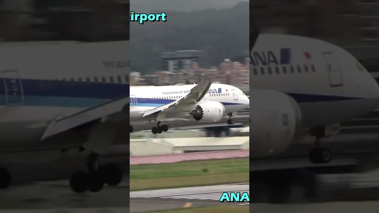 Boeing 787 Japan ANA loading #japan #taiwan #taipei #airport #boeing
