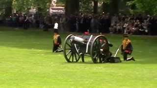 Coronation Anniversary 41 Gun Royal Salute By The Kings Troop Rha - 2Nd June 2014