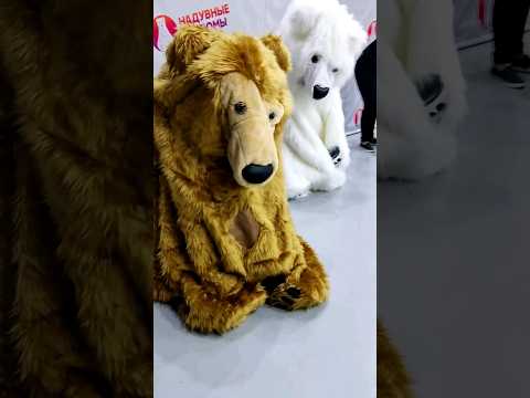 Тест надувных костюмов! Белый и бурый медведь в наличии #надувныекостюмы #белыймедведь #бурыймедведь
