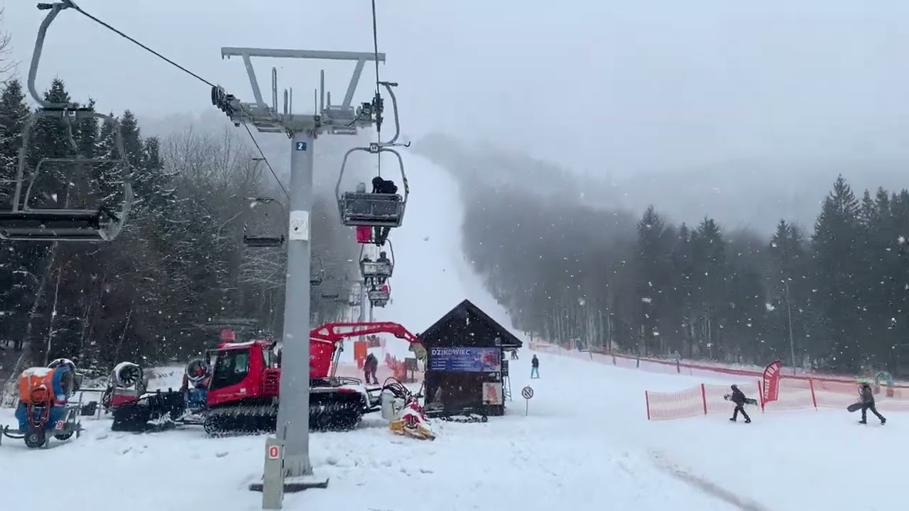 DZIKOWIEC - 2026 - 2