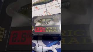 Mike Bucca BFS Trick Shad #kayakfishingtips #bassfishing #bassproshop  #fishing #golfnetwork #bass