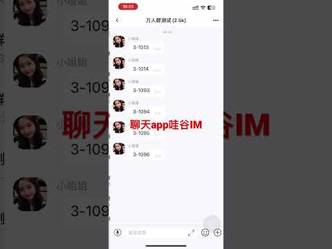 即时通讯软件