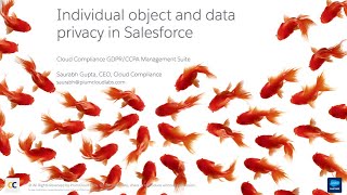 Individual object and data privacy in Salesforce Net Worth