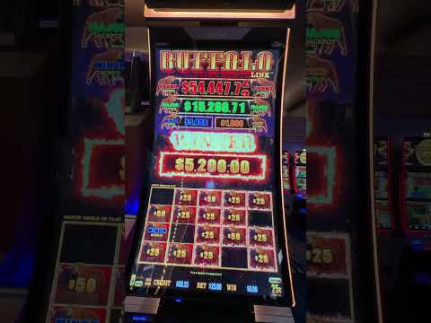 MEGA Jackpot! Buffalo Link $5,000 Minor! 🎰