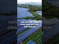 Do solar panels work during rain? #alilyenergy #sustainablesolutions  #renewableenergy