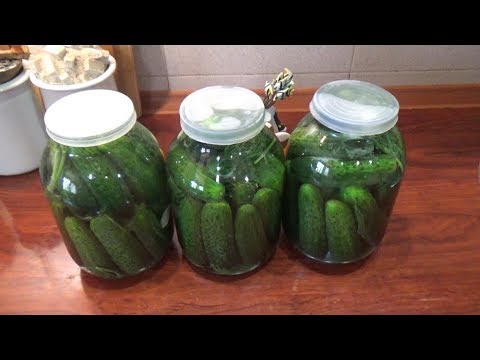 МАЛОСОЛЬНЫЕ ОГУРЦЫ ՎԱՐՈՒՆԳԻ ԹԹՈՒ  Pickle Cucumber