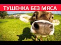 ТУШЕНКА БЕЗ МЯСА