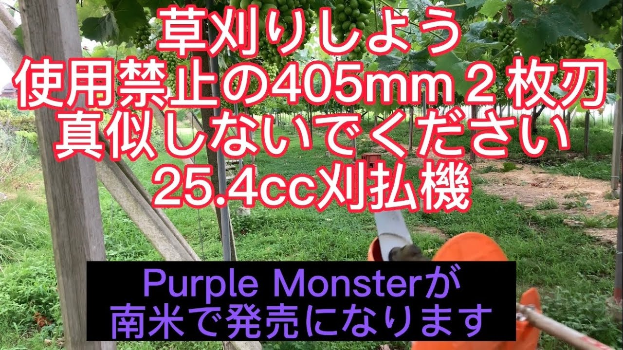 草刈りしよう ?? 普通の刈払機と特大2枚刃 取り返しのつかない事故 
