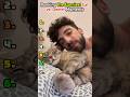 Ranking the Funniest Cat vs. Owner Moments 😹🏠