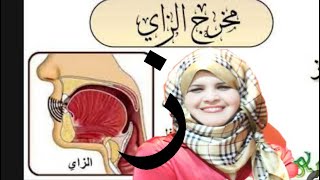 علاج حرف/صوت(ز) الزاي/الزينبكل التفاصيلالصغير والكبير