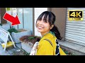 A cute Japanese girl Yui-chan guided me around Asakusa by rickshaw😊 | Rickshaw in Tokyo