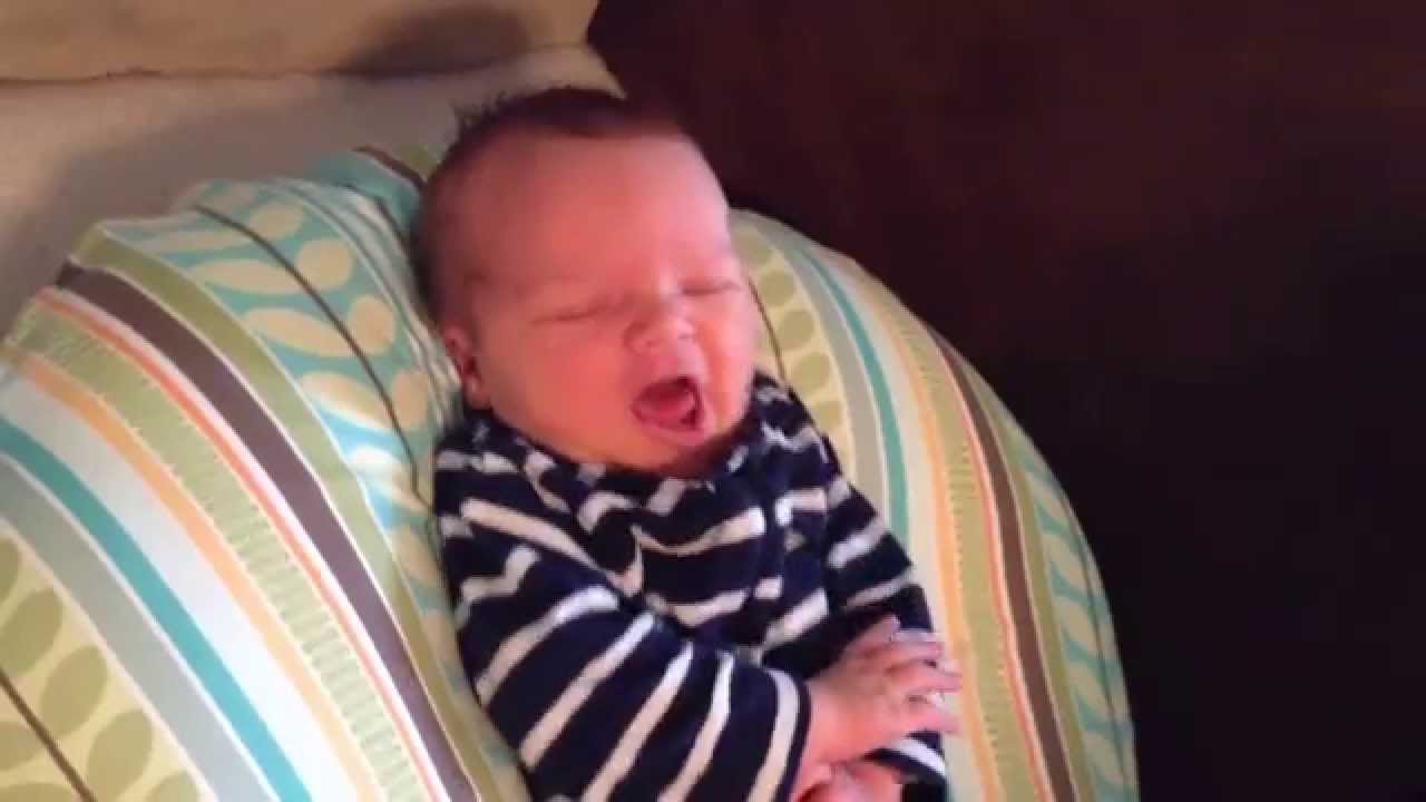 Leo Five Days Old - YouTube Jadon Gutierrez