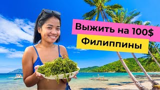 видео: Сколько денег нужно на Филиппинах? Челлендж: питаемся на 100$ в месяц картинка: Сколько денег нужно на Филиппинах? Челлендж: питаемся на 100$ в месяц