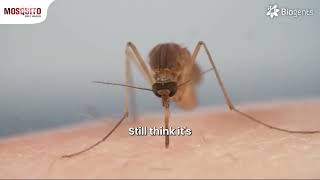 BG Mosquito Traps | Mosquito Free World