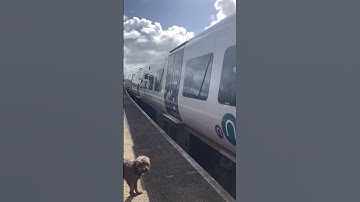 #shorts #trains Class 195/1