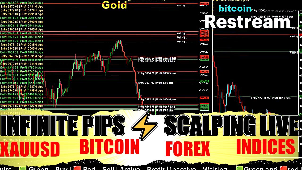 🔥 CMBM Bot v1 — Built to Win in Every Market 💎 crypto | XAUUSD | Forex 💎