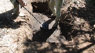 Поиск погибших советских солдат. Поиск погибших советских солдат.