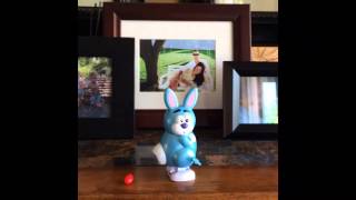 Easter Bunny Harlem Shake